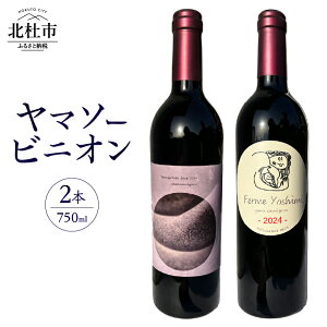 yӂ邳Ɣ[Łz C ԃC 750ml Iׂ{ 1{ 2{ }\[rjI RԂǂ Jxl\[Bj z uhE [݂閡킢 `_ CVbvV~ R k