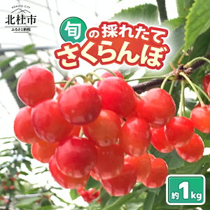 yӂ邳Ɣ[Łz    gG Iׂe 500g 1kg 2026N s\ Ԍ ʌ ̂ꂽđ嗱  ʕ  ĉʎ TN{ `F[  S R 