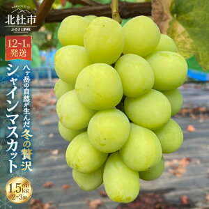 yӂ邳Ɣ[Łz VC}XJbg Iׂe 1.0kg 1.5kg 2[ 121 ቷ }XJbg Ԃǂ  Ȃ t[c ʕ  ʌ Ԍ VN ґ R kms 