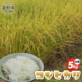 【ふるさと納税】 米 白米 こめ コシヒカリ 5kg 1袋 ブランド米 モミで保存 精米 香り 甘い 粘り 山梨県 北杜市 【令和7年度米】 送料無料