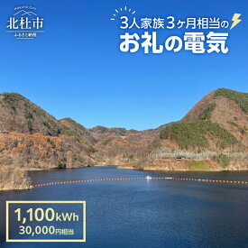 【ふるさと納税】 電気 再生可能エネルギー 1,100kWh 30,000円分 CO&#8322;フリー でんき 電気 地域電力 水力発電 再生可能 エネルギー お礼の電力 北杜市産 ヴィジョナリーパワー 山梨県 北杜市 送料無料