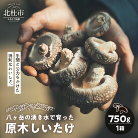【ふるさと納税】 しいたけ 原木しいたけ 1箱 750g きのこ 椎茸 八ヶ岳 湧水 栄養 菌打ち 収穫 料理 冷蔵 山梨県 北杜市 送料無料