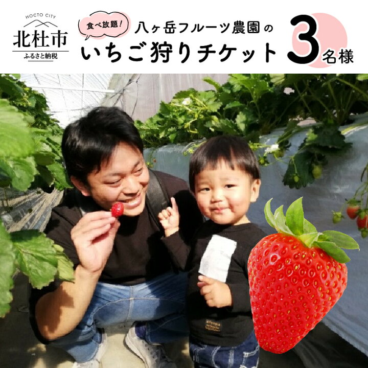 楽天市場 ふるさと納税 いちご イチゴ狩り チケット 収穫体験 紅ほっぺ あきひめ やよいひめ さちのか さがほのか おいcベリー 3名様分 食べ放題 送料無料 山梨県北杜市