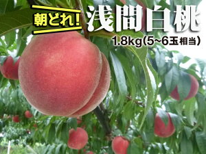 アイテムID:370966の画像1枚目
