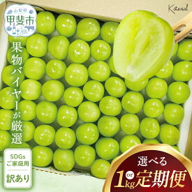 【ふるさと納税】 【（2026年/令和8年）発送＜先行予約＞】 粒シャインマスカット 約1.0kg / 約3.0kg (定期便3回) AD-277