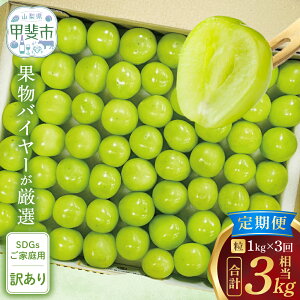 yӂ邳Ɣ[Łz yNi2026N/ߘa8Njs\񁄁z VC}XJbg 1.0kg / 3.0kg (3) AD-277
