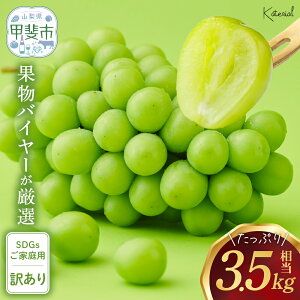 yӂ邳Ɣ[Łz yNi2026N/ߘa8Njs\񁄁z 󂠂 ƒp VC}XJbg 1.5`3.5kg KiO s\ RY Yn t[c ʕ Ԃǂ uhE  V