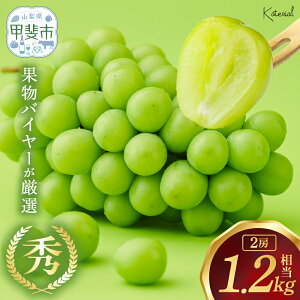 yӂ邳Ɣ[Łzy2026Nz VC}XJbg 2[ 1.2kg AD-239