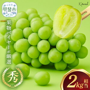yӂ邳Ɣ[Łzy2025Nz VC}XJbg 2.0kg s\ s \ lC  Y  Mtg  RY Yn t[c ʕ  Ԃǂ uhE 