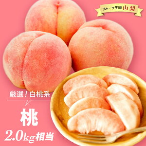 yӂ邳Ɣ[ŁzyNi2026N/ߘa8Njs\񁄁zgIh n wx 2.0kg [R  s\] s \ RY Yn t[c ʕ     d 