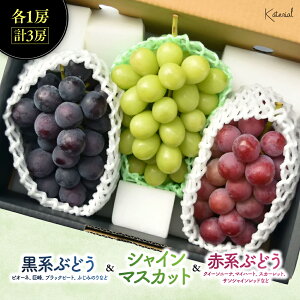 y2026Nz܂IԂǂ@3F@Hהׁ@Zbg@1.8kg