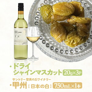 yӂ邳Ɣ[ŁzSDGs hCVC}XJbg3܁{{̔CibBj or CIׂ Y hCt[c VC}XJbg Ԃǂ  R bs