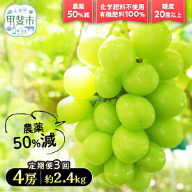 【ふるさと納税】 【先行予約】定期便　樹上完熟シャインマスカット（特別栽培）選べる容量2～4房（1.2kg～2.4kg）3回　BM-P-15