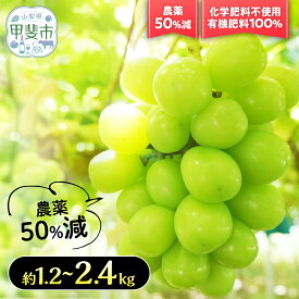 【ふるさと納税】 【（2026年/令和8年）発送＜先行予約＞】『特別栽培』自然塾夏 シャインマスカット 約 1.0 〜 2.4 kg BM-1