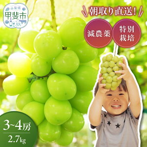 yӂ邳Ɣ[Łz y2025Nzʍ͔| _ VC}XJbg1.0 ~ 2.7kg / I / ~ CF-1