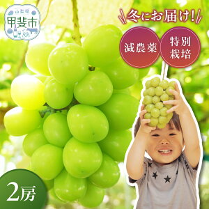 yӂ邳Ɣ[Łz y2025Nz~̃VC}XJbg 1`2[ CF-9