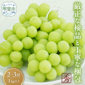 yӂ邳Ɣ[Łz y2026Nz  VC}XJbg 1`3[ 650g ~ 1kgȏ CD-1