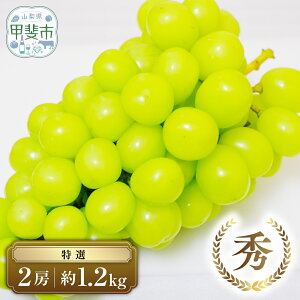 yӂ邳Ɣ[Łz y2025Nz I VC}XJbg 2[ 1.2kg s\ s \ RY Yn t[c ʕ  Ԃǂ uhE  VC VC}XJbg VN 