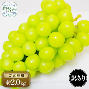 yӂ邳Ɣ[Łz y2025Nz ƒp VC}XJbg 1.5 ~ 2.0kg 󂠂 KiO s\ RY Yn t[c ʕ  Ԃǂ uhE  VC VN lC 