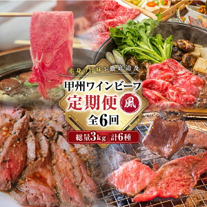 yӂ邳Ɣ[ŁzJASF bBCr[t ցyz  6 Ă Ԃ ē іq bB Y Ԑg   r[t ؂藎Ƃ Xe[L Ђ ғ TCRXe