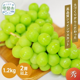 【ふるさと納税】【2025年-令和7年発送分☆先行予約☆】山梨県産 朝採り新鮮 シャインマスカット 1.2kg　 果物 ぶどう フルーツ デザート 旬の果物 国産 　果物 ぶどう フルーツ デザート 食後 おやつ 国産 　シャインマスカット　シャイン　訳あり　家庭用　山梨　お