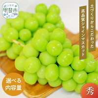 【山梨県甲斐市（かいし）】