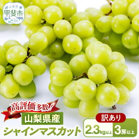 【ふるさと納税】【（2026年/令和8年）発送＜先行予約＞】山梨県産 朝採り新鮮 シャインマスカット 1.2kg　 果物 ぶどう フルーツ デザート 旬の果物 国産 　果物 ぶどう フルーツ デザート 食後 おやつ 国産 　シャインマスカット 訳あり 家庭用 山梨県 甲斐市