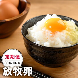 【ふるさと納税】【10ヵ月定期便】放牧卵30個×10ヶ月 卵 たまご タマゴ 玉子 鶏卵 山梨 黒富士農場 産みたて 新鮮 自然卵 放牧卵 たまごかけご飯 平飼い 定期便 冷蔵 山梨県 甲斐市 B-20