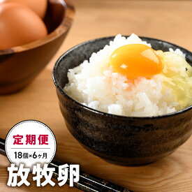 【ふるさと納税】【6ヵ月定期便】放牧卵 18個×6ヶ月 卵 たまご タマゴ 玉子 鶏卵 山梨 黒富士農場 産みたて 新鮮 自然卵 放牧卵 たまごかけご飯 平飼い 定期便 冷蔵 山梨県 甲斐市 B-21