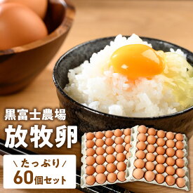 【ふるさと納税】黒富士農場の放牧卵たっぷり60個セット 卵 たまご タマゴ 玉子 鶏卵 黒富士農場 新鮮 自然卵 放牧卵 たまごかけご飯 平飼い 冷蔵 山梨県 甲斐市 B-29