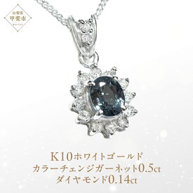 【ふるさと納税】カラーチェンジガーネット ペンダント 0.5ct 0.5カラット K10 10金 ホワイトゴールド （13403） [山梨 ペンダント ネックレス ガーネット ホワイトゴールド ゴールド ジュエリー ダイヤモンド ゴールド ] 山梨県 甲斐市 BR-39