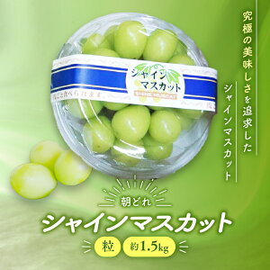 yӂ邳Ɣ[ŁzyNi2026N/ߘa8Njs\񁄁zƒp 󂠂 VC}XJbg  1.0kg`1.5kg _ s\ s \ RY Y Yn  t[c ʕ 