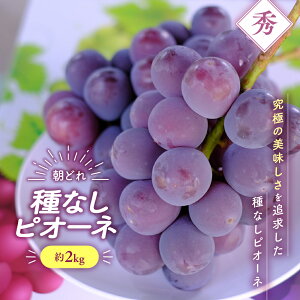 yӂ邳Ɣ[ŁzyNi2026N/ߘa8Njs\񁄁z Ȃ sI[l 1[ 500g`2.0kg s\ s \ RY Yn t[c ʕ  Ԃǂ uhE  VN l
