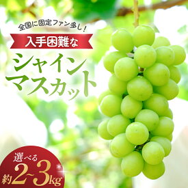 【ふるさと納税】【（2026年/令和8年）発送＜先行予約＞】シャインマスカット 2kg〜3kg 2房〜6房 先行予約 先行 予約 山梨県産 国産 産地直送 人気 おすすめ 贈答 ギフト お取り寄せ フルーツ 果物 くだもの ぶどう ブドウ 葡萄 新鮮 甘い 皮ごと 種なし 甲斐市 N-5