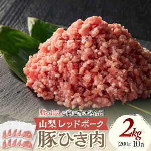 yӂ邳Ɣ[ŁzIׂeʁRbh|[N ؂Ђ 200g×4܁`10 v800g`2kg Ђ Ⓚ   ~` ^ Y  ؓ L Ö   no[O ٓ R 
