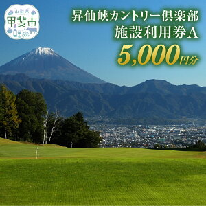 yӂ邳Ɣ[Łz勬Jg[Nu@{ݗpA@3,000~ {ݗpB@5,000~@[R St Stꗘp `Pbg]  `Pbg v[ St St  Stp 
