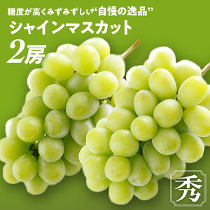 yӂ邳Ɣ[Łz y2025NzḧihVC}XJbg 1[  G s\ s \ RY Yn t[c ʕ  Ԃǂ uhE  VC VC}XJ