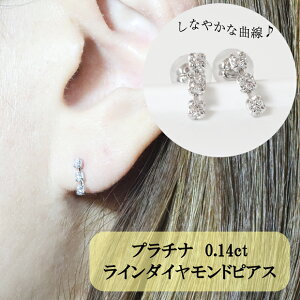 yӂ邳Ɣ[Łzv`i 0.14ct C_ChsAX@ ANZT[ WG[  fB[X t@bV   ig o