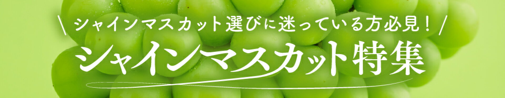 シャインマスカット特集