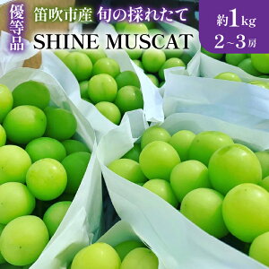 yӂ邳Ɣ[Łzy2026Ns\zRJsY@{̍̂ꂽăVC}XJbg Di 1kg@2`3[ ӂ邳Ɣ[ VC}XJbg Js Y lC Ԍ Ԃǂ uh
