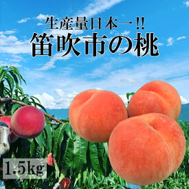 楽天市場 ふるさと納税 桃 5kgの通販