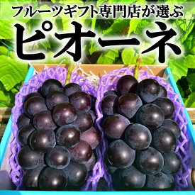 【ふるさと納税】＜2024年先行予約＞山梨県笛吹市産　旬の採れたてピオーネ　約1kg　2～3房 ふるさと納税 おすすめ ランキング ピオーネ 笛吹市 国産 人気 期間限定 ぶどう ブドウ 葡萄 旬 果物 フルーツ 山梨県 送料無料 105-014