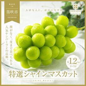 【ふるさと納税】＜25年発送＞【2026年発送★先行予約】山梨県笛吹市 特選 旬の採れたてシャインマスカット 約1.2kg 2〜3房 ふるさと納税 シャインマスカット 笛吹市 国産 人気 ぶどう ブドウ 葡萄 贈り物 プレゼント 旬 果物 フルーツ 山梨県 送料無料 105-001