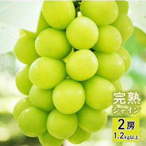 yӂ邳Ɣ[Łzy2026Ns\zynz VC}XJbg 2[ 1.2kgȏ ӂ邳Ɣ[ VC}XJbg Js Y lC Ԍ Ԃǂ  ʕ R Js 