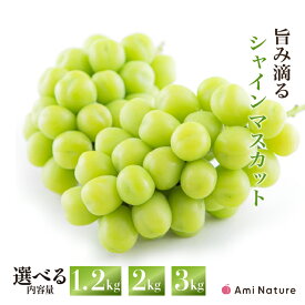 【ふるさと納税】【2026年発送★先行予約】さわやかに滴る シャインマスカット 2kg~3kg 数量限定 無くなり次第終了シャインマスカット 笛吹市 国産 人気 期間限定 ぶどう ブドウ 葡萄 旬 果物 フルーツ 山梨県 送料無料 065-023