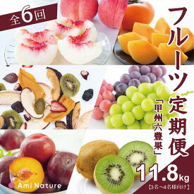 【ふるさと納税】フルーツ定期便≪甲州六豊果≫全6回【3名〜4名様向け】　シャインマスカット 桃 もも 貴陽 すもも スモモ プラム ぶどう ブドウ 枯露柿 人気 贈答 ギフト 中元 お盆 帰省 旬 果物 フルーツ 山梨県 笛吹市 リピート 送料無料　065-007_v2