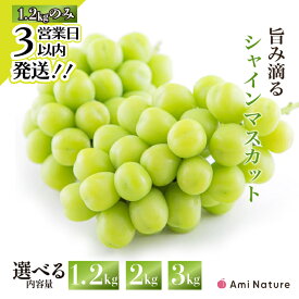 【ふるさと納税】★スピード発送★＜25年発送＞【2026年発送★先行予約】さわやかに滴る シャインマスカット 2kg~3kg 数量限定 無くなり次第終了シャインマスカット 笛吹市 国産 人気 期間限定 ぶどう ブドウ 葡萄 旬 果物 フルーツ 山梨県 送料無料 065-023