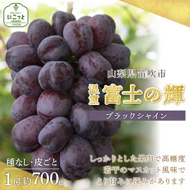 【ふるさと納税】＜25年発送先行予約＞希少 大粒ぶどう 富士の輝き 約700g〜 【選べる容量】 小林農園のブラックシャインマスカット ぶどう 笛吹市 山梨県産 人気 期間限定 旬 果物 フルーツ 送料無料 お中元 帰省 贈答 ギフト 097-009