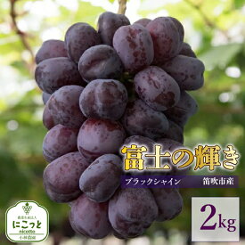 【ふるさと納税】【2026年発送★先行予約】希少 大粒ぶどう 富士の輝き 約700g〜 【選べる容量】 小林農園のブラックシャインマスカット ぶどう 笛吹市 山梨県産 人気 期間限定 旬 果物 フルーツ 送料無料 お中元 帰省 贈答 ギフト 097-009