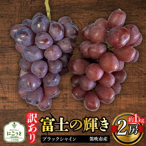 yӂ邳Ɣ[Łzy󂠂zxm̋P 2[ 1kg ӂ邳Ɣ[  LO ubNVC}XJbg xm̋P Js Y lC Ԃǂ uhE  { ʕ t[c R 